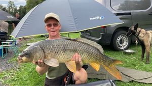 Common Carp