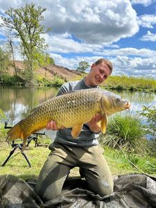 Common Carp