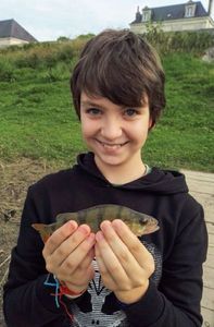 European Perch