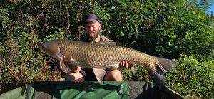 Grass Carp