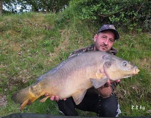 Mirror Carp