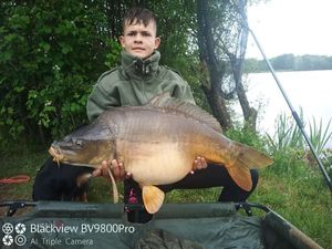 Mirror Carp