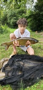 Grass Carp