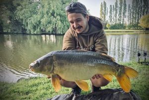 Mirror Carp