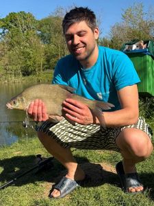 Common Bream