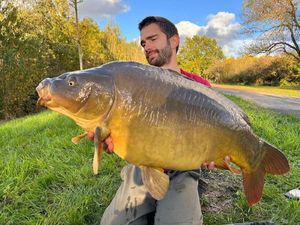 Mirror Carp