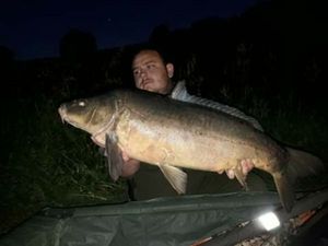 Mirror Carp