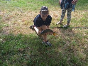 Mirror Carp