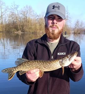 Northern Pike