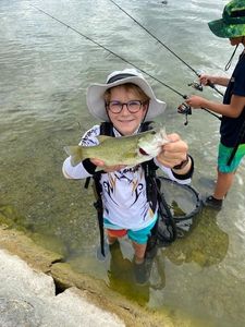 Smallmouth Bass
