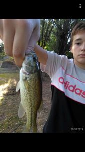 Smallmouth Bass
