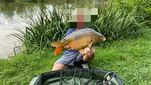 Mirror Carp