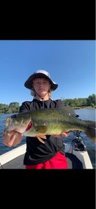 Largemouth Bass