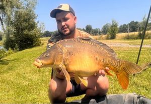 Mirror Carp