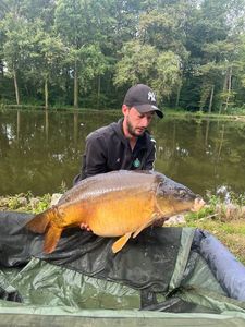 Mirror Carp