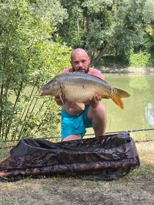 Mirror Carp