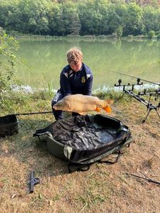 Common Carp