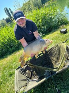 Mirror Carp