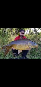 Leather Carp