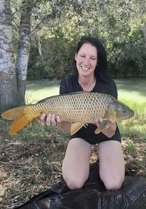 Common Carp