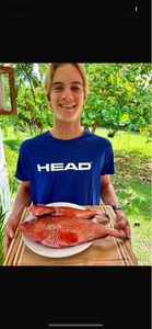 Red Hind