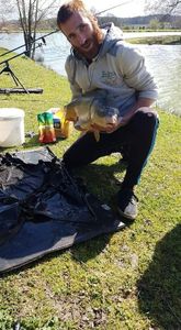 Mirror Carp