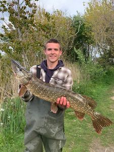 Northern Pike