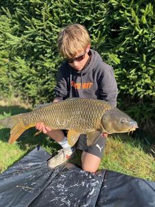 Common Carp