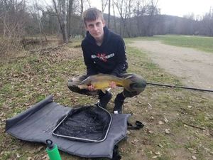 Leather Carp