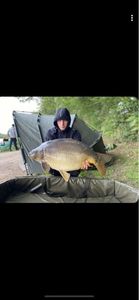 Mirror Carp