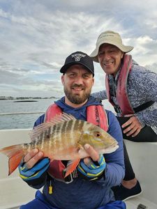 Mutton Snapper