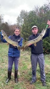 Northern Pike