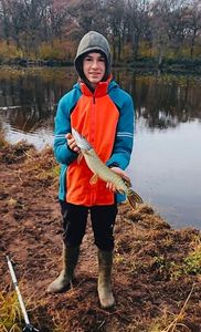 Northern Pike