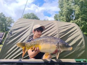 Mirror Carp