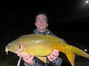 Mirror Carp