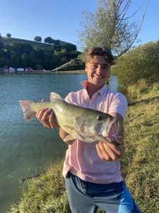 Largemouth Bass