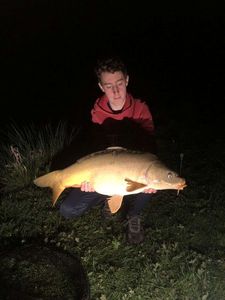 Mirror Carp