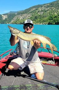 Northern Pike
