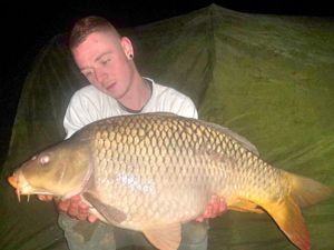 Common Carp