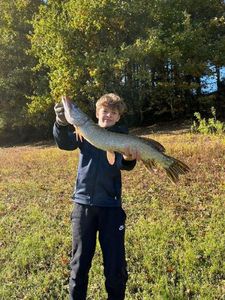 Amur Pike
