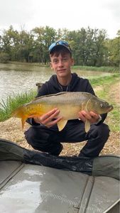 Mirror Carp