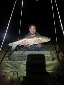 Grass Carp