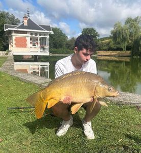 Mirror Carp