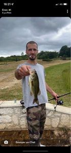 Largemouth Bass