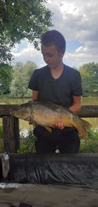 Mirror Carp
