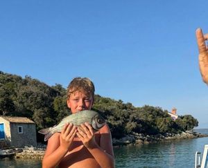 Gilthead Seabream