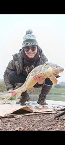 Sturgeon