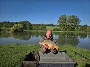 Mirror Carp