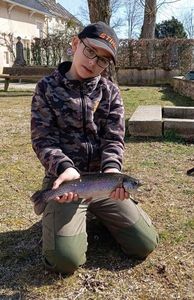 Rainbow Trout