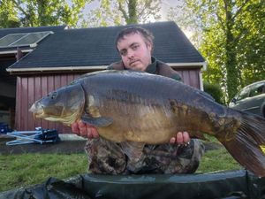 Mirror Carp